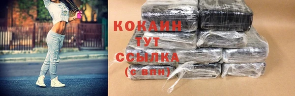 шишки Володарск