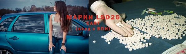прущие грибы Верхнеуральск