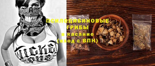 герыч Верхний Тагил