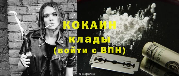 шишки Володарск