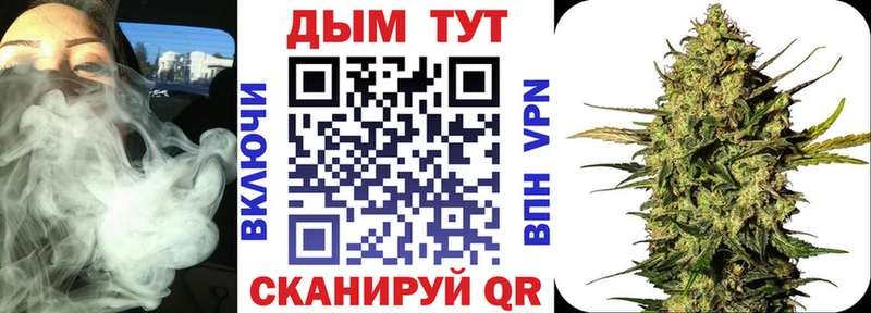 Бошки марихуана THC 21%  дарнет шоп  Любим 